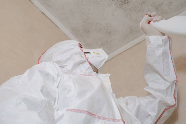 Water Damage Restoration in Virginia Gardens, FL