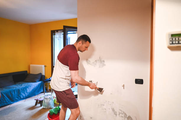 Best Mold Removal and Inspection  in Virginia Gardens, FL
